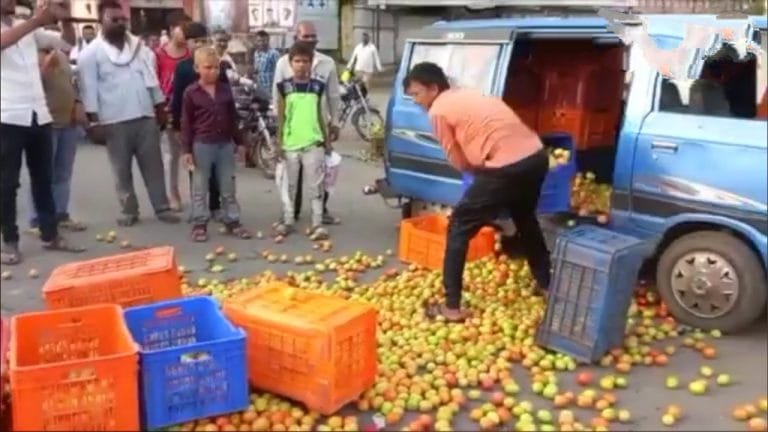 राजकारण थांबवून शेतकऱ्यांना दिलासा द्या !  किसान सभा