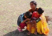 तुमचा एक forward मेसेज भटक्यांच्या जीव घेऊ शकतो याचे भान असू द्या….