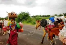 भटके विमुक्त जाती जमाती घटक