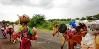भटके विमुक्त जाती जमाती घटक
